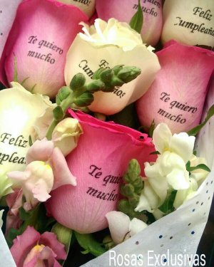 rosas exclusivas_002
