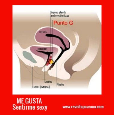 eyaculacion femenina.jpg